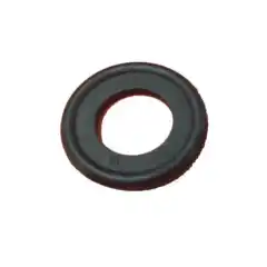 Pakning for innefelt ventil Zodiac