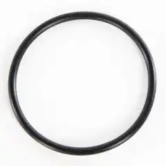 <p>Original o-ring til termostat for utvalgte Mercury motorer.</p>
