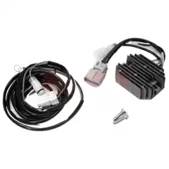 Mercury Batteriladerkit 20/30 EFI