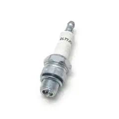 Tennplugg fra Champion. Passer til flere utvalgte utenbordsmotorer.