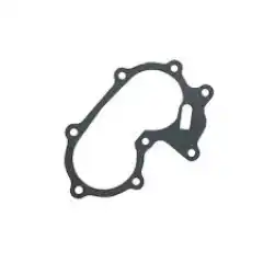 <p>Originaldel til eldre Evinrude/Johnson modeller.</p>
