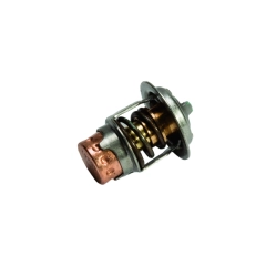 <p>Termostat til utvalgte Mercury/Mariner modeller.</p>
