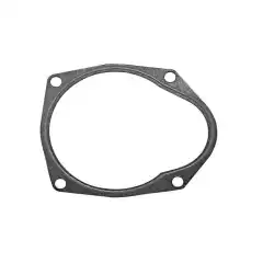 Impellerpakning som alltid byttes med impellerskifte.