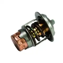Termostat til utvalgte Mercury/Mariner modeller.