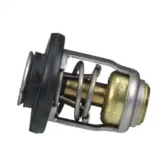 Original termostat til utvalgte Mercury/Mariner motorer.