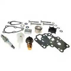 Bensinfilter, termostat, impellerkit, tennplugger, anoder og pakninger.